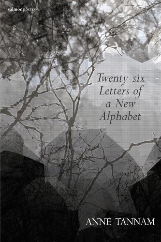 Anne Tannam - Twenty-Six Letters of a New Alphabet, Häftad