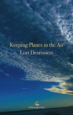 Lori Desrosiers - Keeping Planes in the Air, Häftad