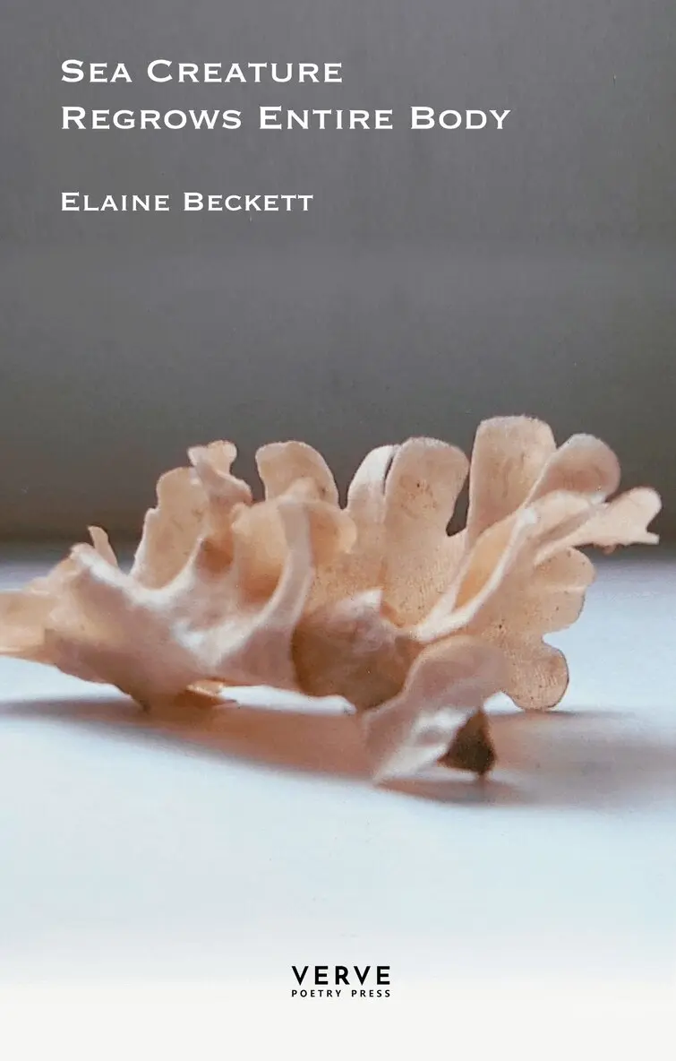 Elaine Beckett - Sea Creature Regrows Entire Body, Häftad. Tillgänglighet: Lägg i varukorg