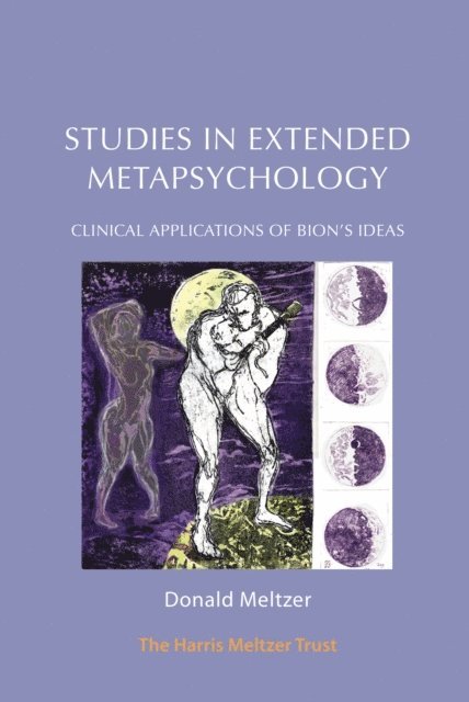 Donald Meltzer - Studies in Extended Metapsychology, E-bok