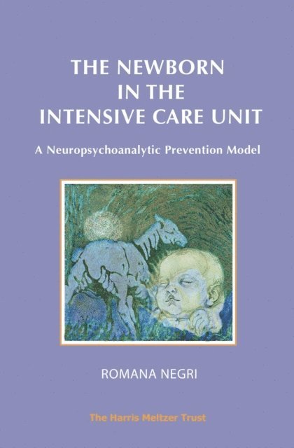 Romana Negri - Newborn in the Intensive Care Unit, E-bok
