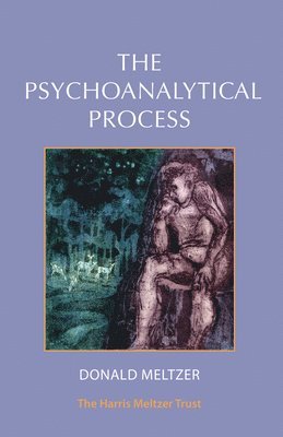 Donald Metlzer - Psychoanalytical Process, Häftad