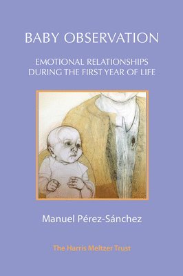 Manuel Pérez-Sánchez - Baby Observation, Häftad
