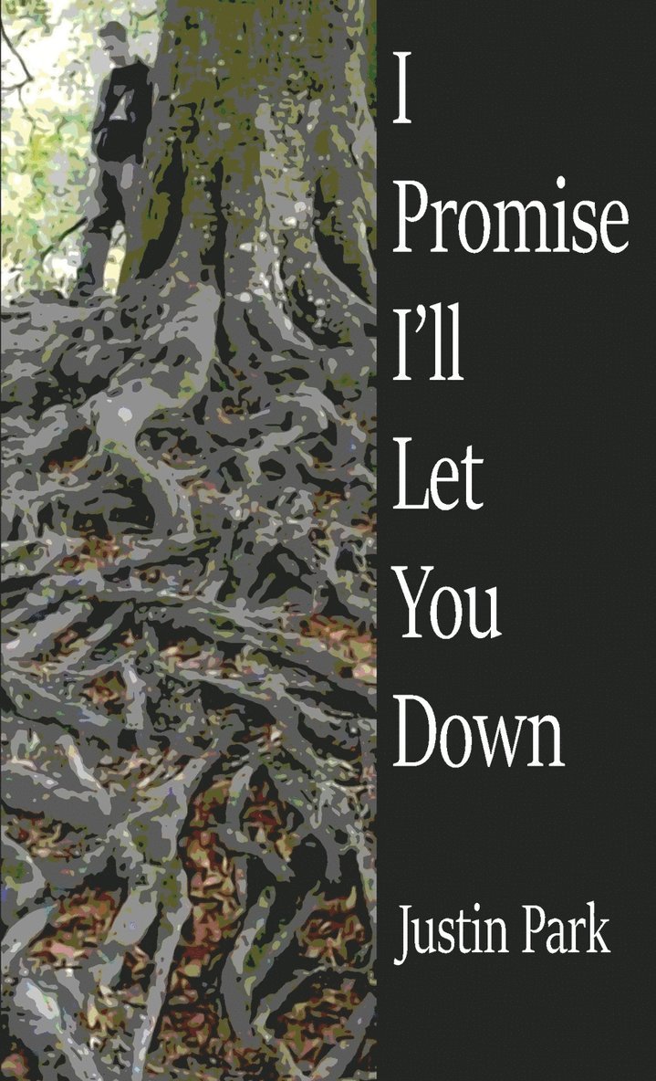 Justin Park - I Promise I'll Let You Down, Häftad
