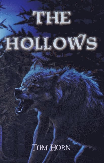 Tom Horn, Vivienne Ainslie - Hollows, E-bok