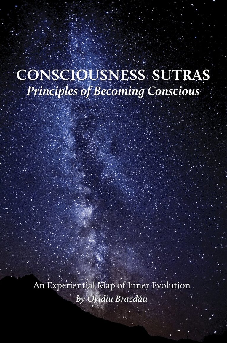 Ovidiu Brazdau - Consciousness Sutras, Häftad
