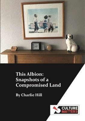 Charlie Hill - This Albion: Snapshots of a Compromised Land, Häftad