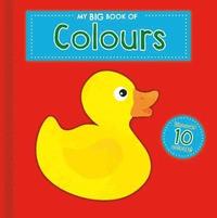 Big Board Books - Colours