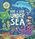 Hide and Seek Under the Sea