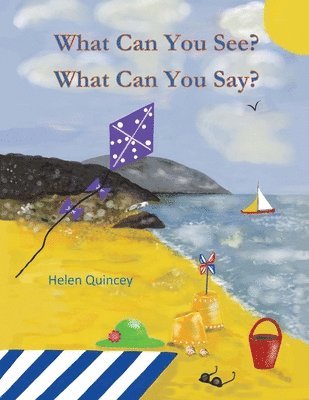 Helen Quincey - What Can You See? What Can You Say?, Häftad