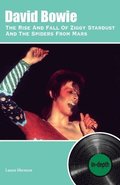 David Bowie The Rise And Fall Of Ziggy Stardust And The Spiders From Mars: In-depth