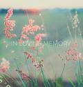 Condolence book for funeral (Hardcover)