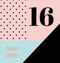 Happy 16th Birthday Guest Book (Hardcover)