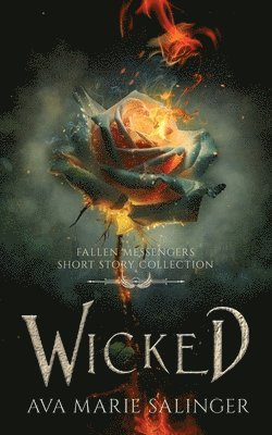 Ava Marie Salinger - Wicked, Häftad