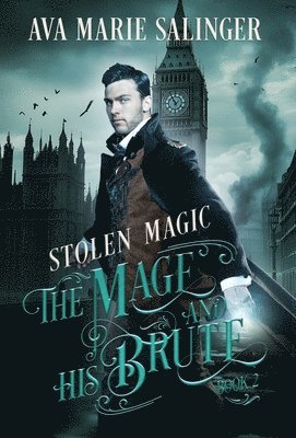 Ava Marie Salinger - Stolen Magic (The Mage and His Brute Book 2), Inbunden