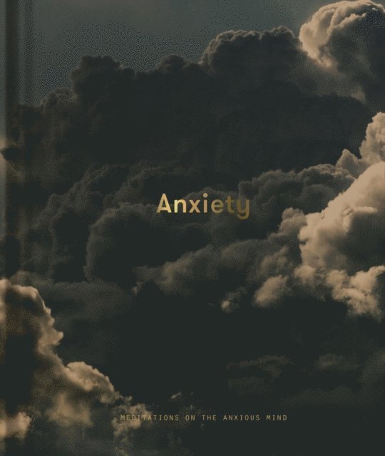 Alain de Botton - Anxiety, E-bok