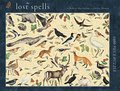 Macfarlane, R: Lost Spells 1000 Piece Jigsaw Puzzle