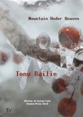 Tony Bailie - Mountain Under Heaven, Häftad. Tillgänglighet: Lägg i varukorg