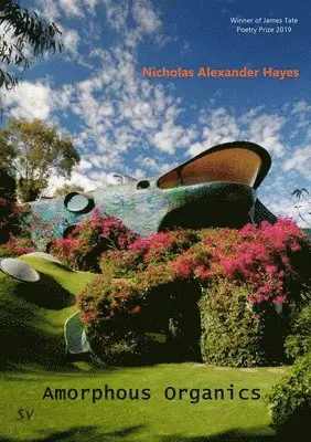 Nicholas Alexander Hayes - Amorphous Organics, Häftad. Tillgänglighet: Lägg i varukorg
