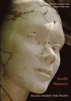 Aoife Mannix - Alice under the Knife, Häftad. Tillgänglighet: Lägg i varukorg