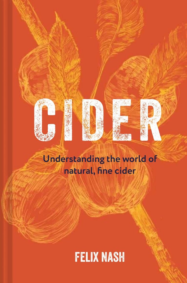 Cider