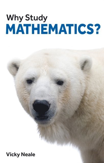 Vicky Neale - Why Study Mathematics?, E-bok