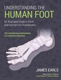 Understanding the Human Foot