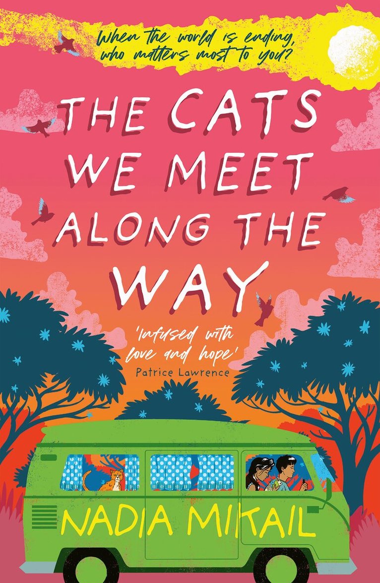 Nadia Mikail - Cats We Meet Along the Way, Häftad