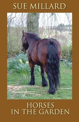 Sue Millard - Horses in the Garden, Häftad