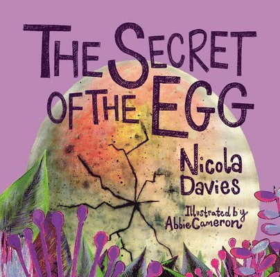 Nicola Davies - Secret of the Egg, Häftad. Tillgänglighet: Lägg i varukorg