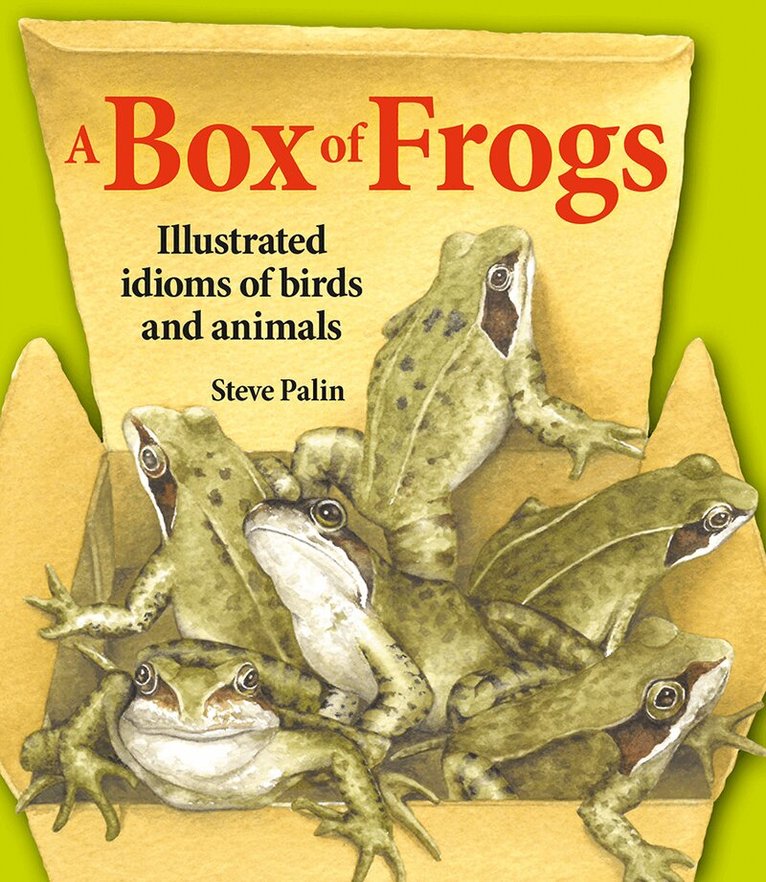 Steve Palin - Box of Frogs, Inbunden