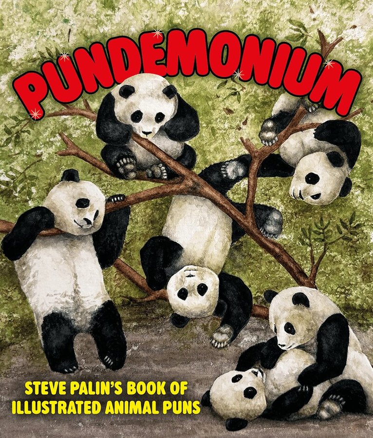 Steve Palin - Pundemonium, Inbunden