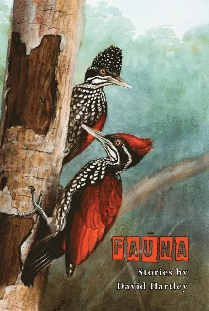 David Hartley - Fauna, E-bok. Tillgänglighet: Lägg i varukorg