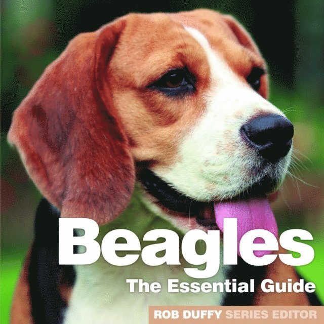Robert Duffy - Beagles, E-bok