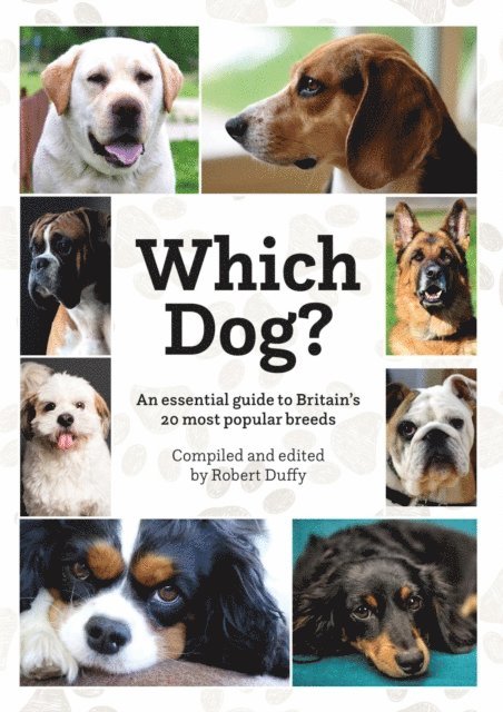 Robert Duffy - Which Dog, E-bok