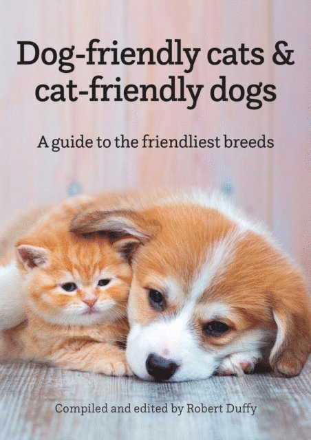Robert Duffy - Dog-friendly cats & cat-friendly dogs, E-bok