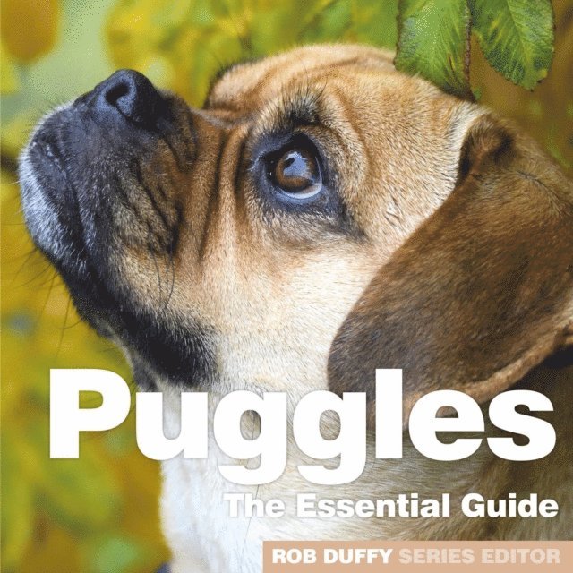 Robert Duffy - Puggles, E-bok
