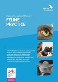Improve International Manual of Feline Practice