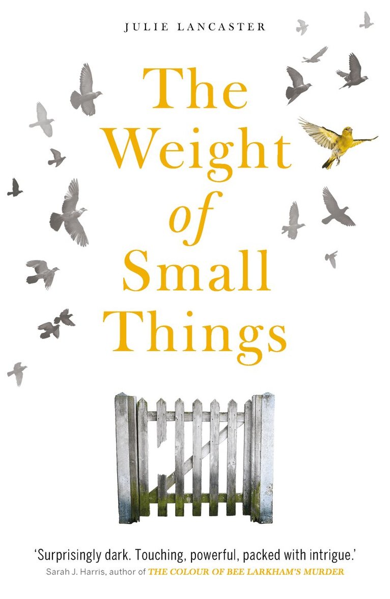 Julie Lancaster - Weight of Small Things, Häftad