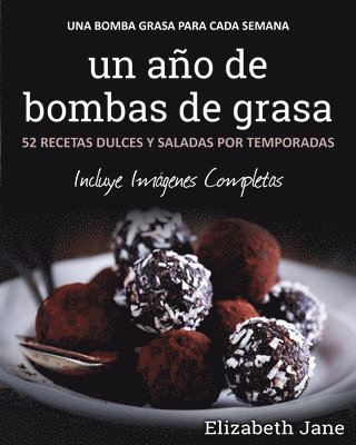 año de bombas de grasa
