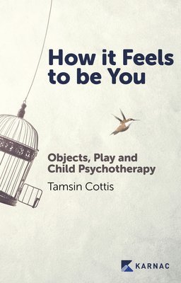 Tamsin Cottis - How it Feels to be You, Häftad