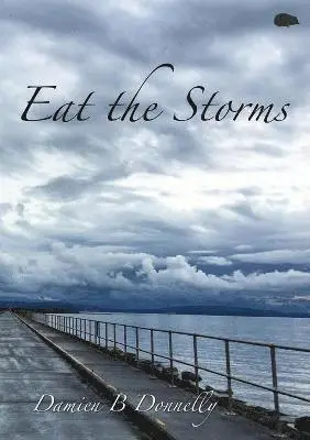 Damien B Donnelly - Eat the Storms, Häftad. Tillgänglighet: Lägg i varukorg