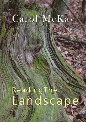 Carol McKay - Reading The Landscape, Häftad