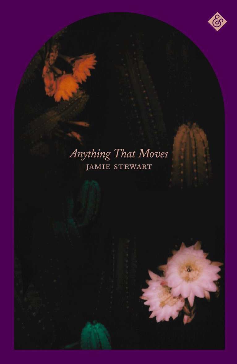 Jamie Stewart - Anything That Moves, Inbunden