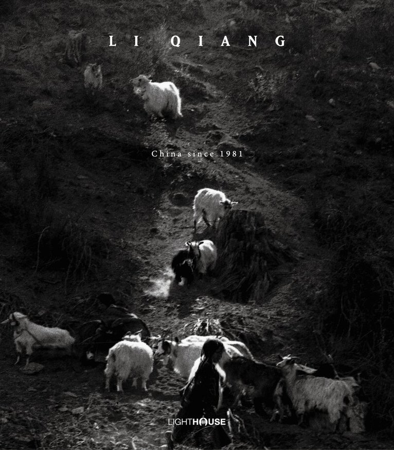 Li Qiang