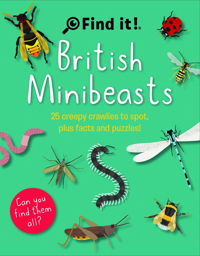 Marianne Taylor, Richardson Puzzles and Games - Find it! ® British Minibeasts, Häftad