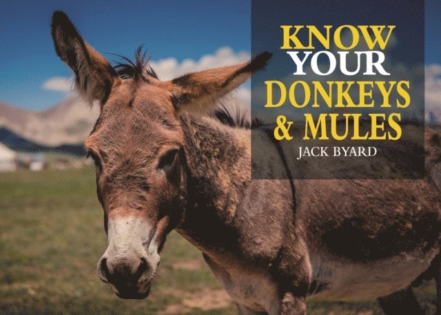 Jack Byard - Know Your Donkeys & Mules, E-bok. Tillgänglighet: Lägg i varukorg