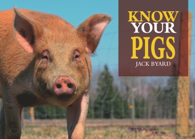 Jack Byard - Know Your Pigs, E-bok