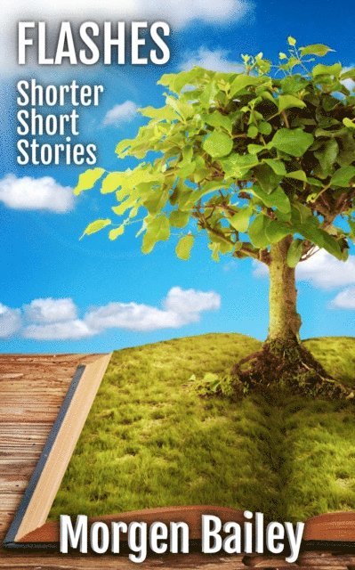 Morgen Bailey - Flashes ~ Shorter Short Stories, E-bok