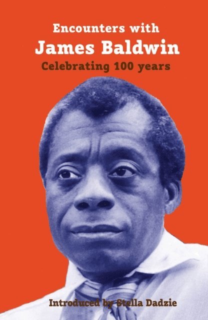 Stella Dadzie, Stella Dadzie - Encounters with James Baldwin, E-bok